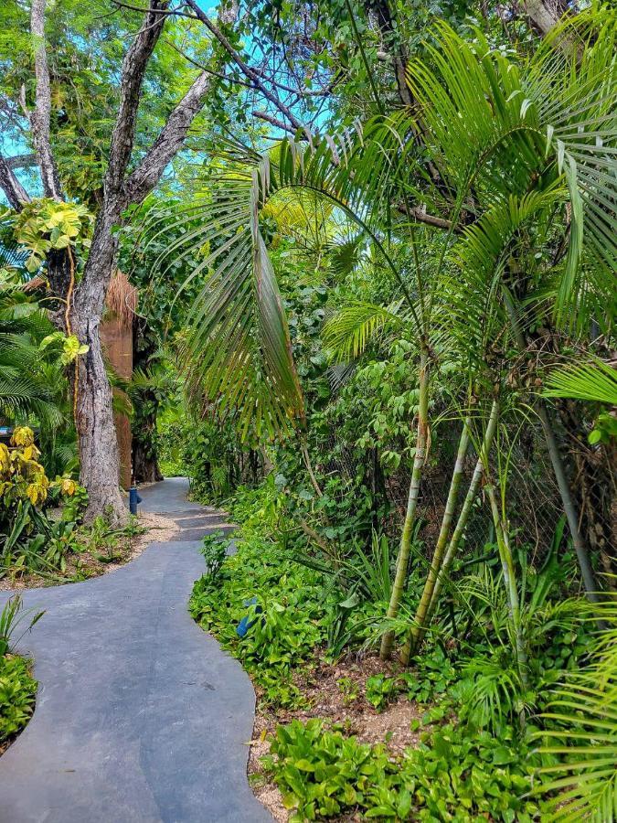 Auberge de jeunesse Maui